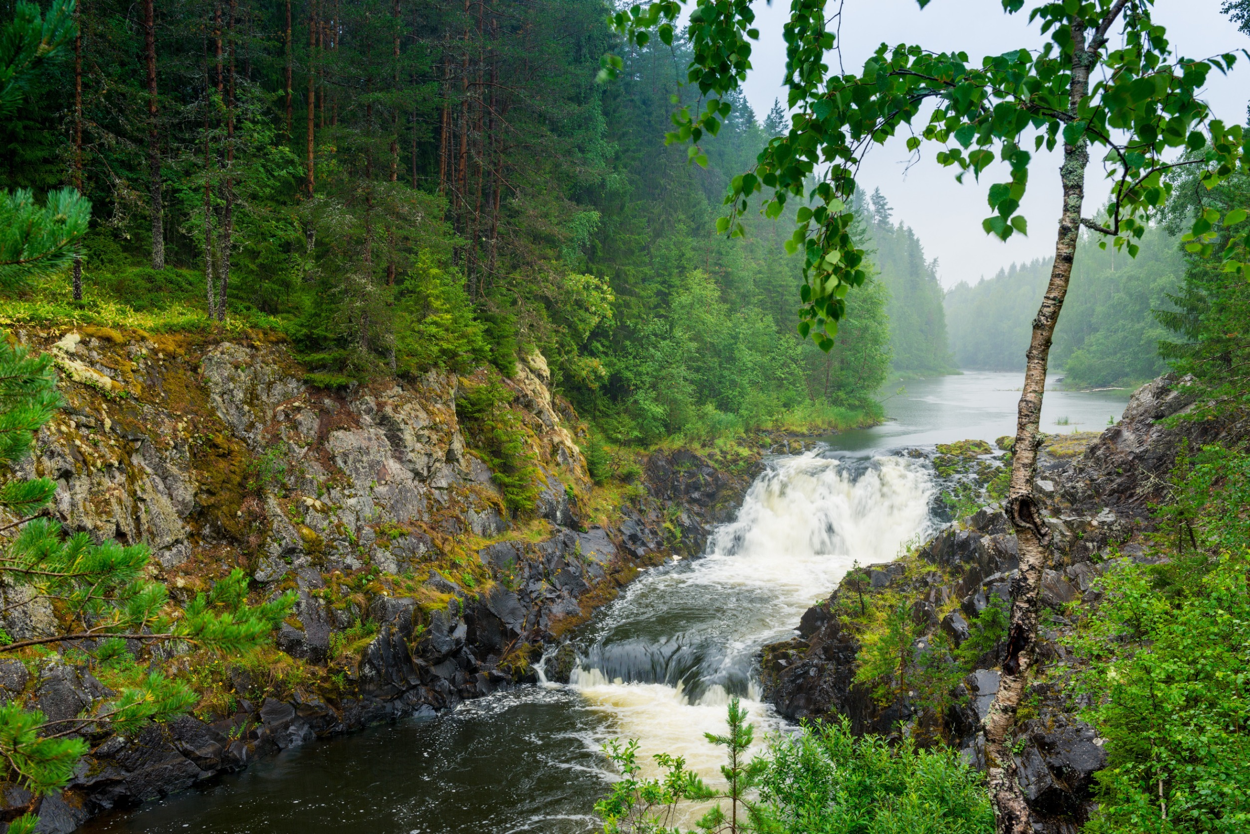 Водный заповедник СПБ