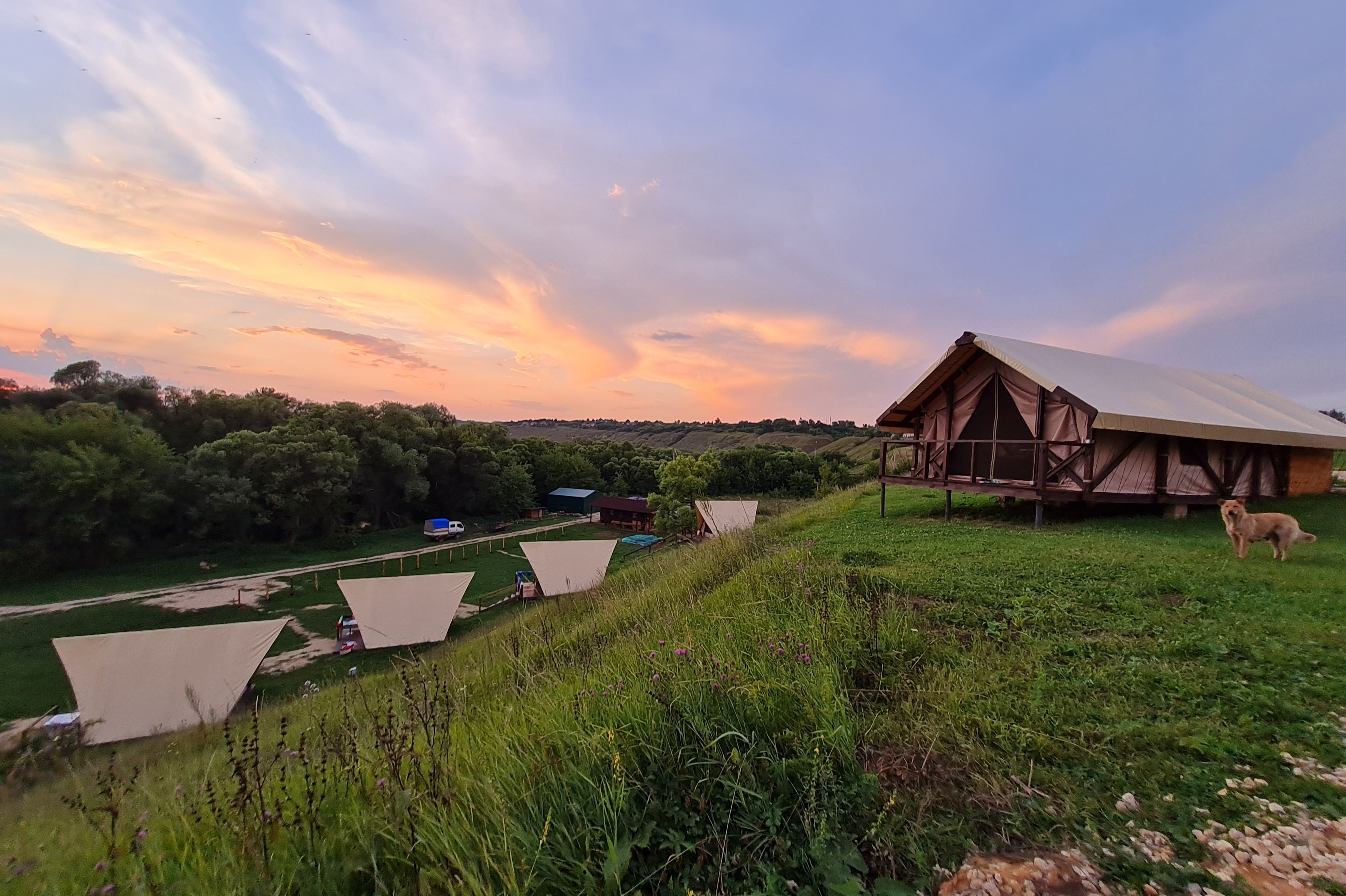 Surf Glamping