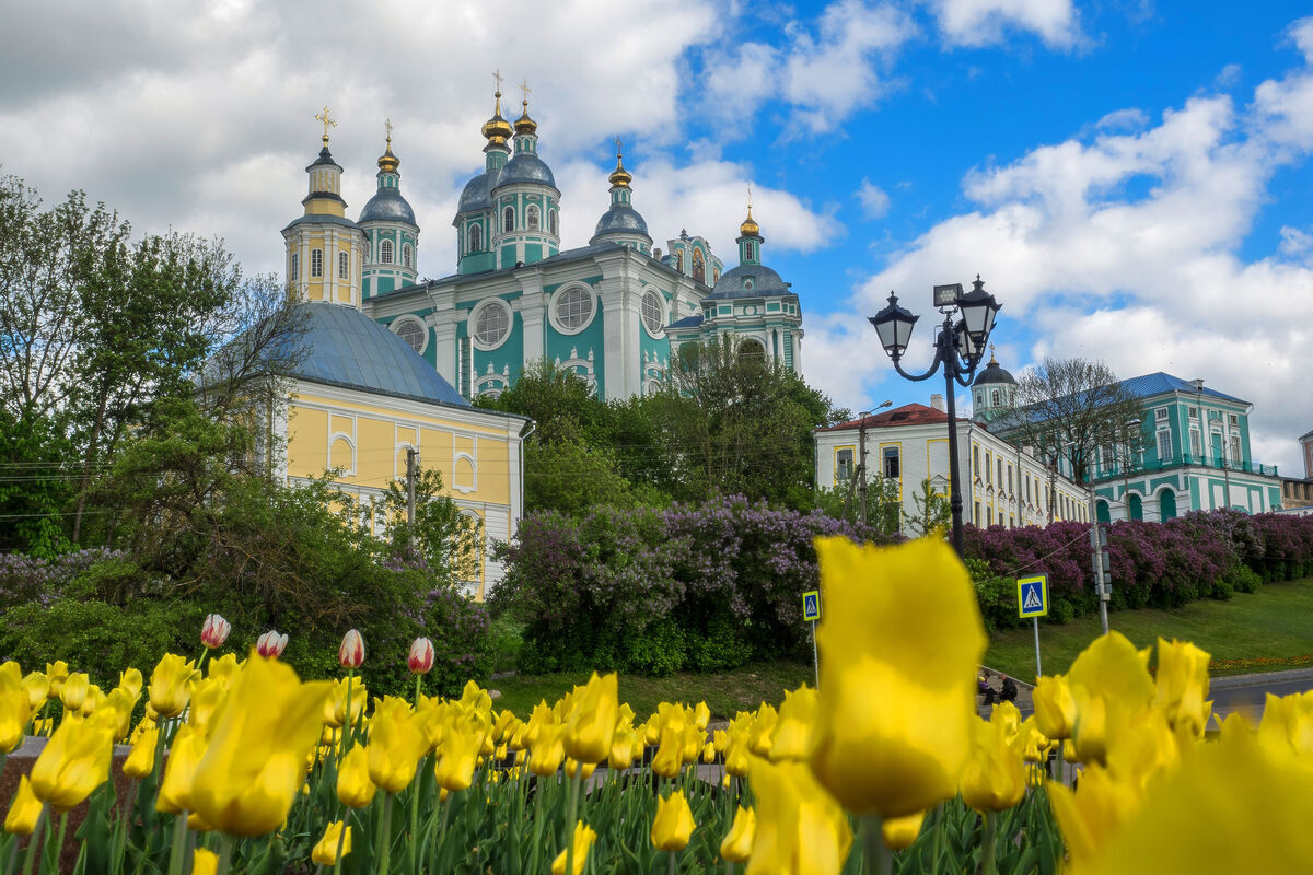 Успенский собор Смоленск 1812