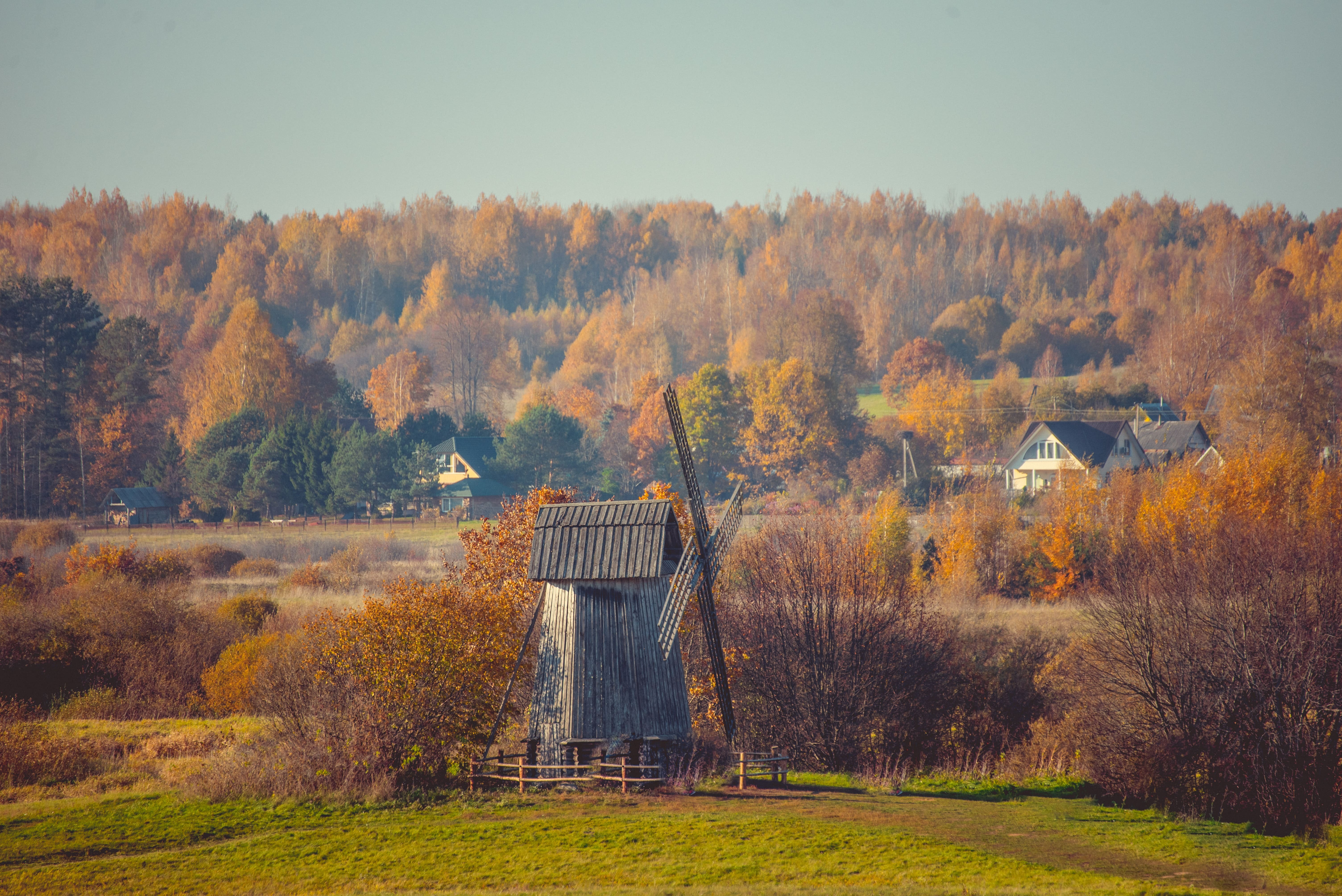 Фотограф Пушкинские горы